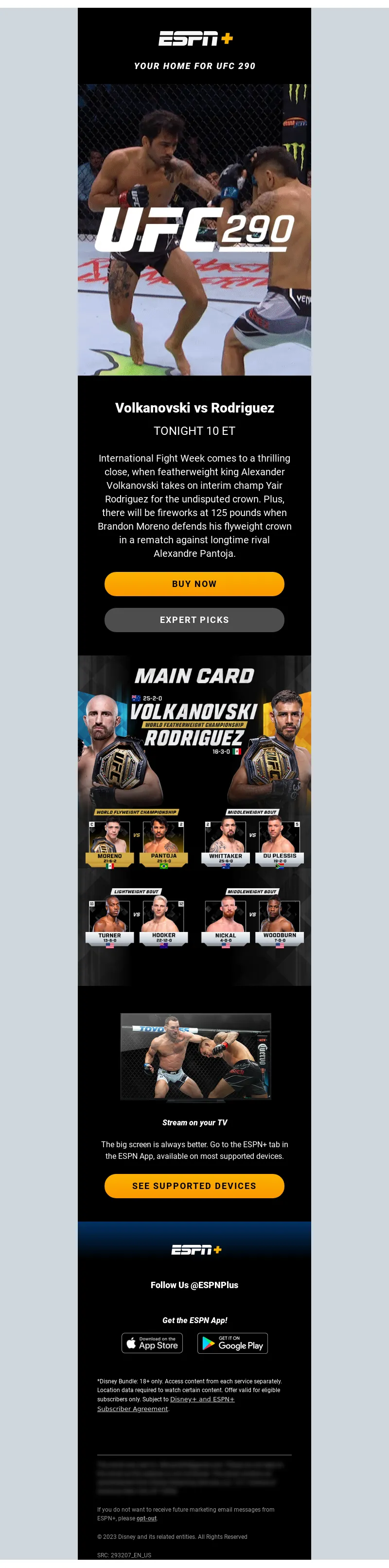 Email Screenshot