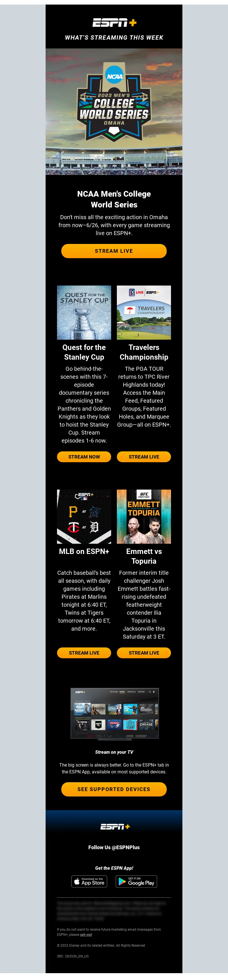 Email Screenshot