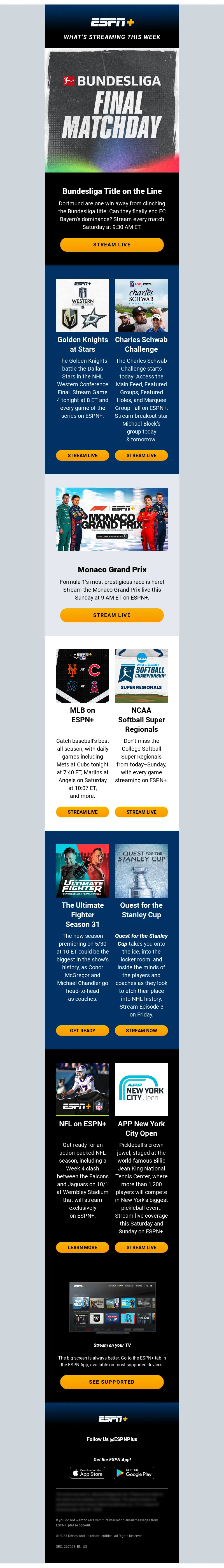 Email Screenshot