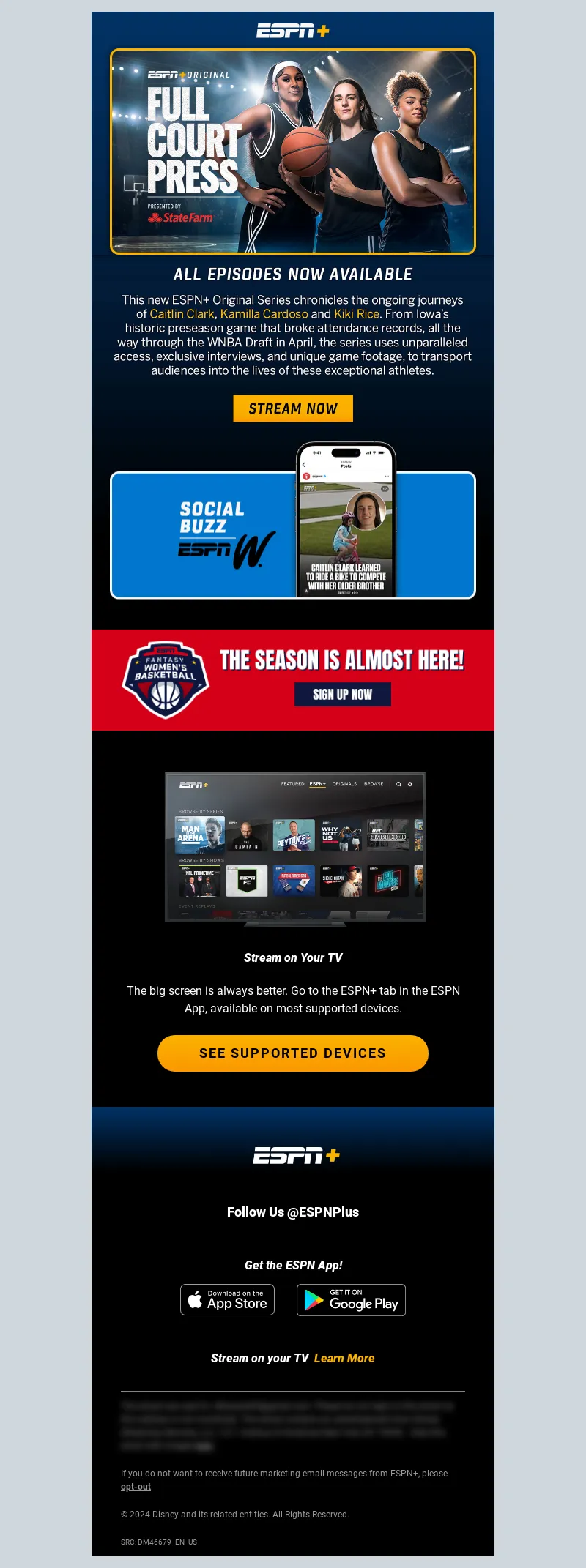 Email Screenshot