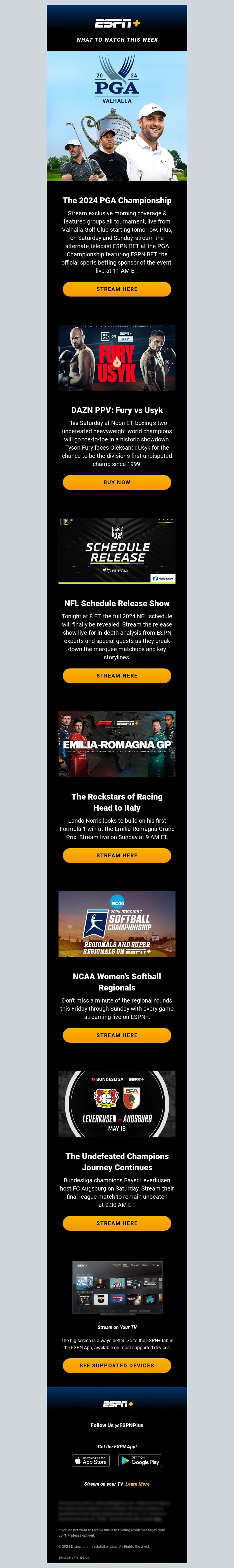 Email Screenshot