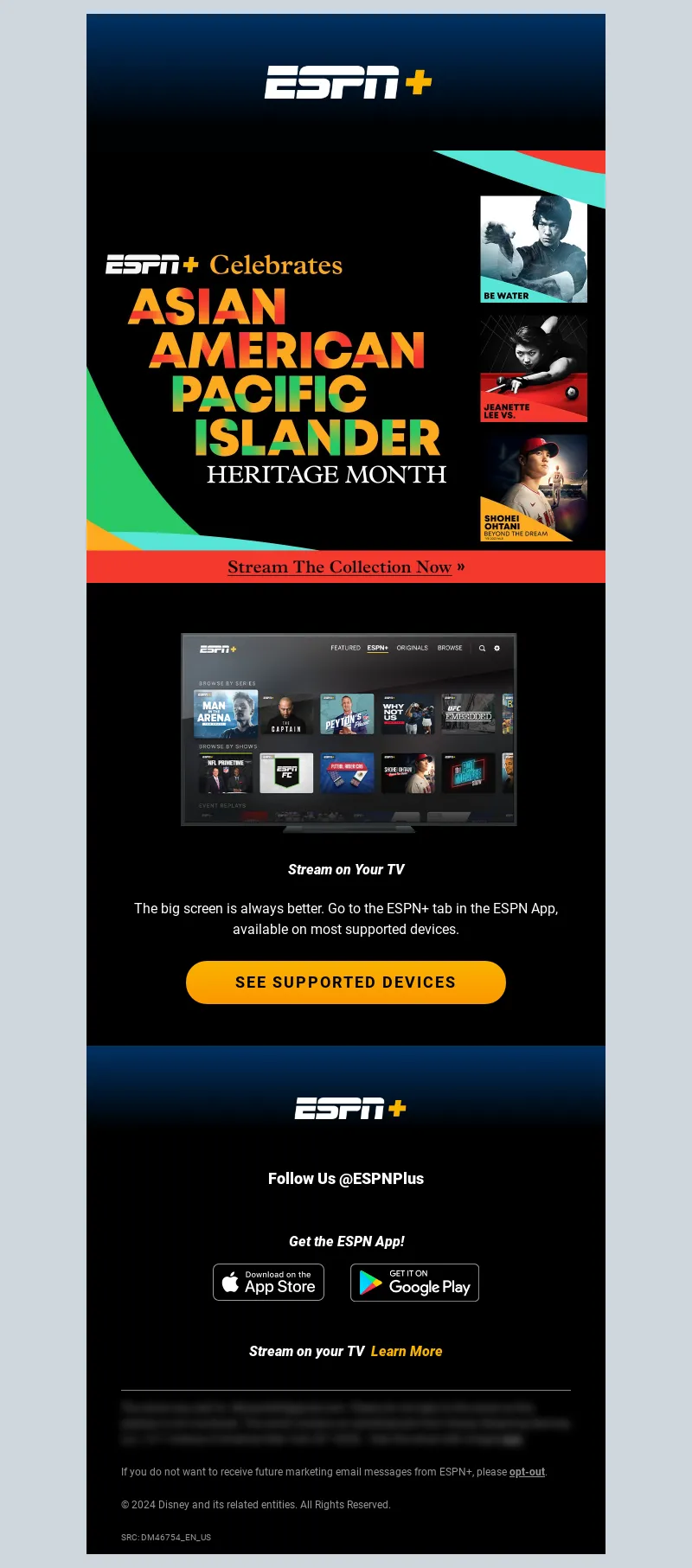 Email Screenshot
