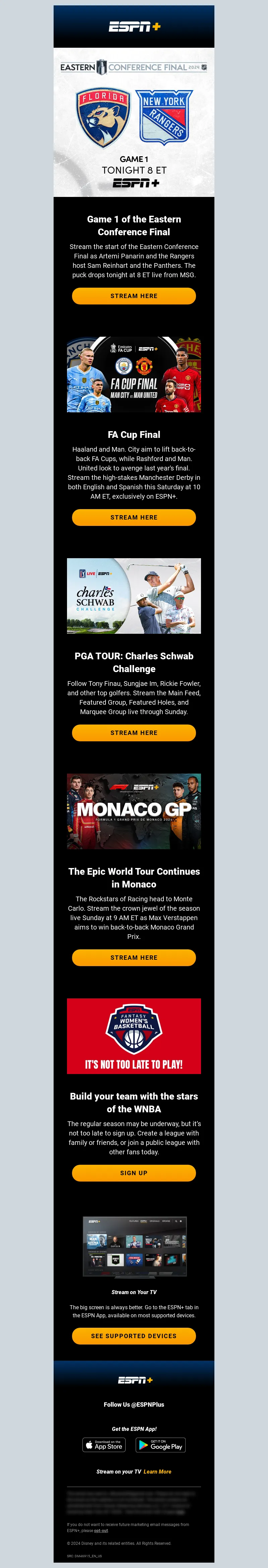 Email Screenshot