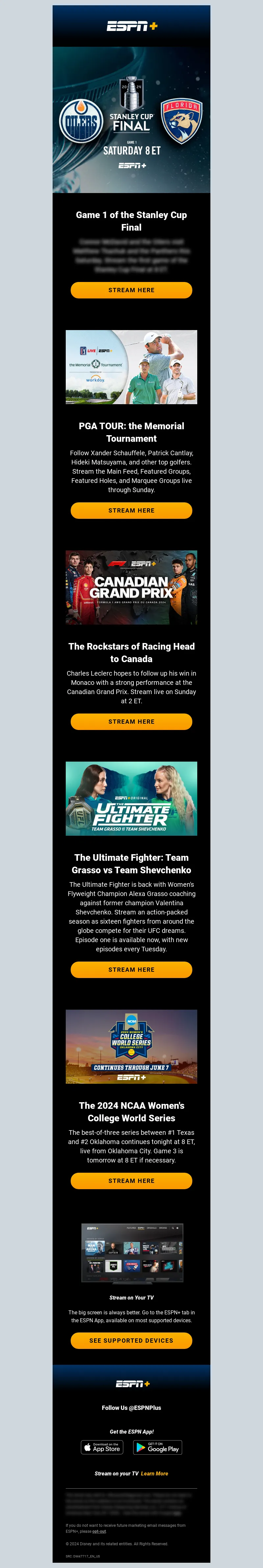 Email Screenshot