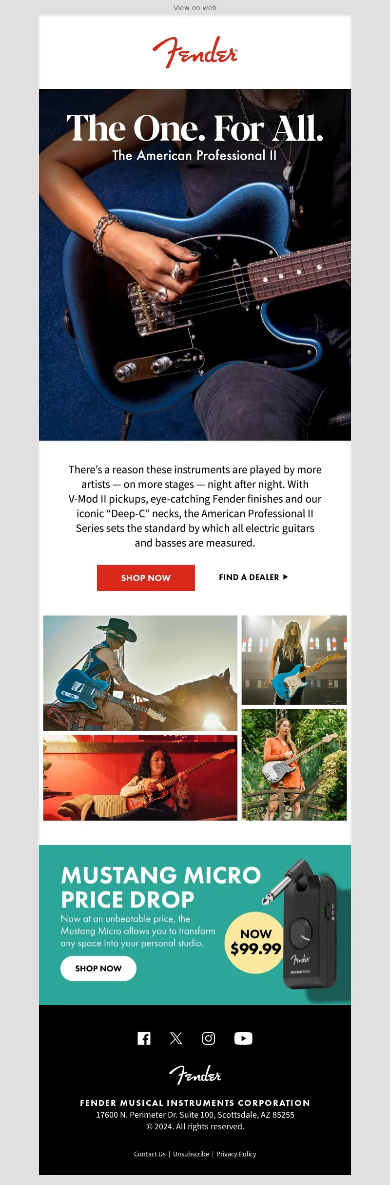 Email Screenshot
