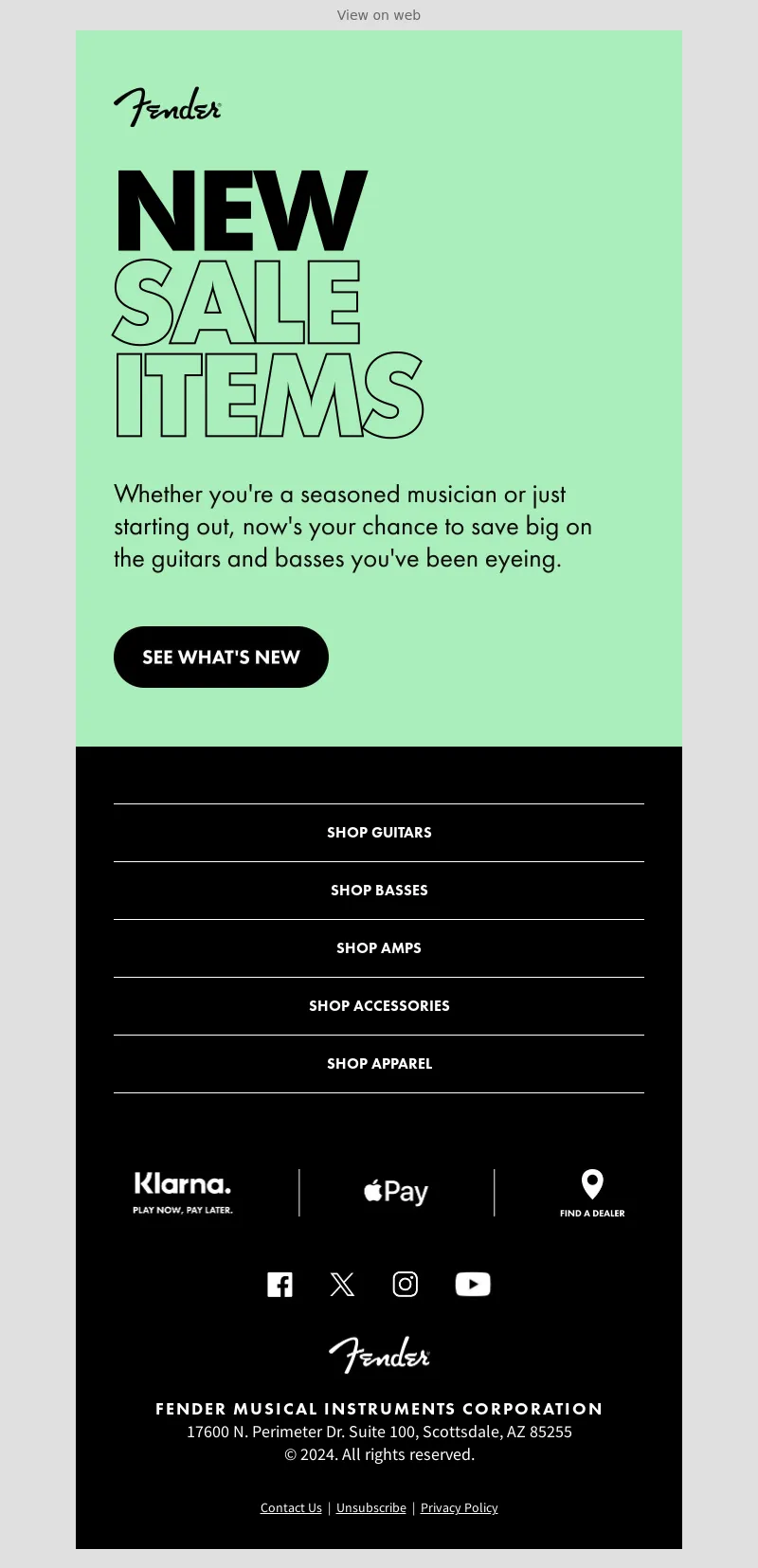 Email Screenshot