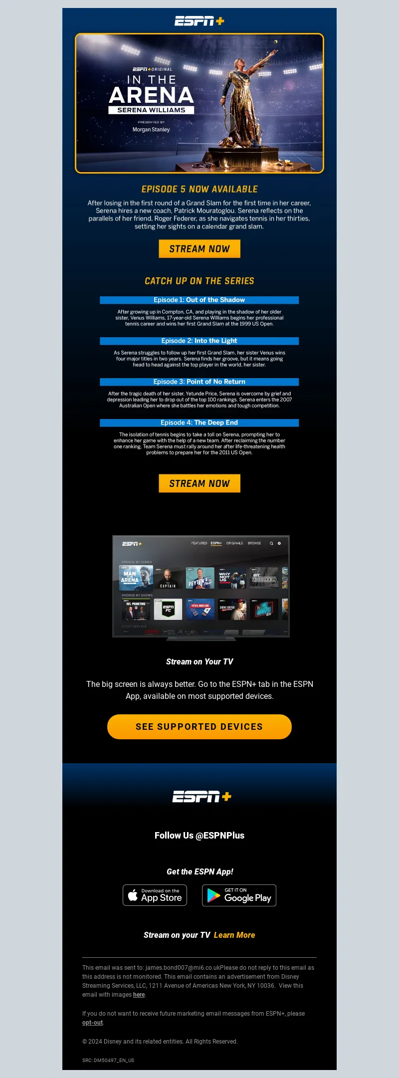 Email Screenshot