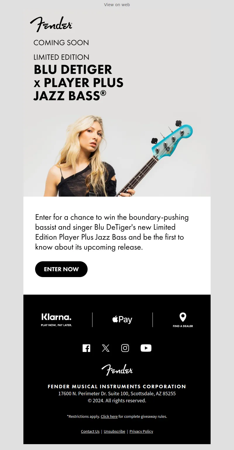 Email Screenshot