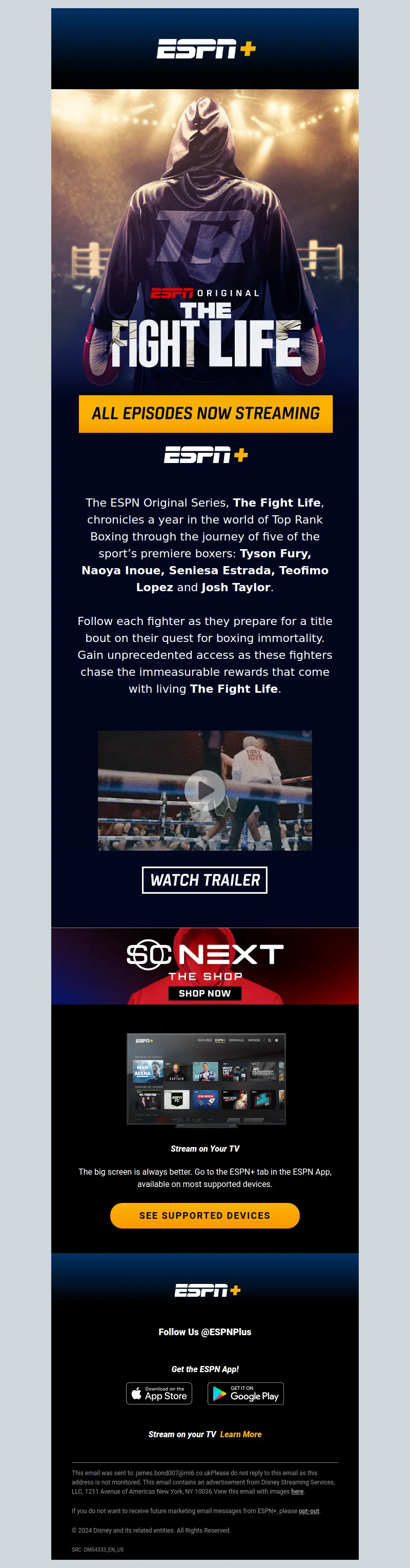 Email Screenshot