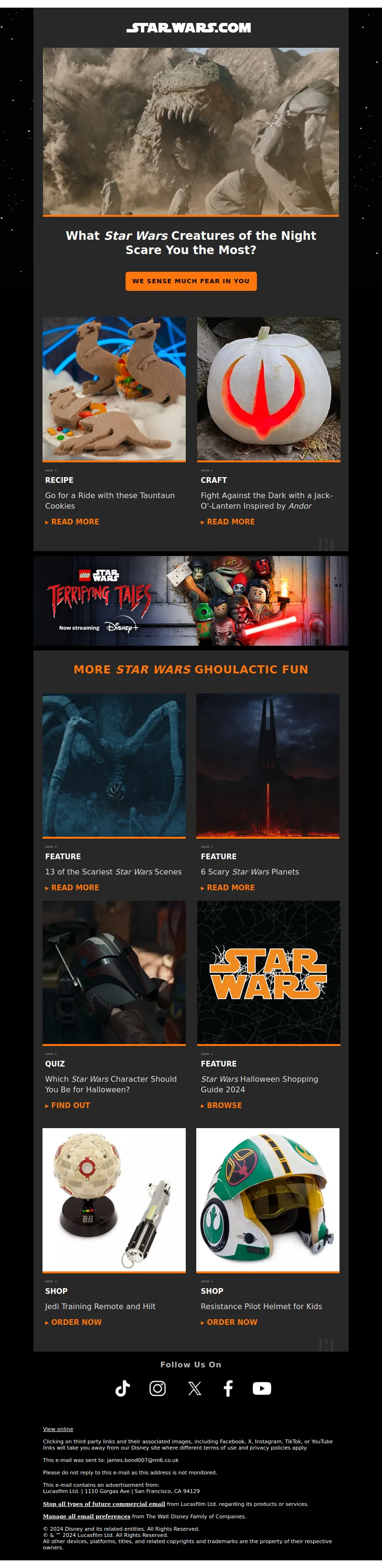 Email Screenshot