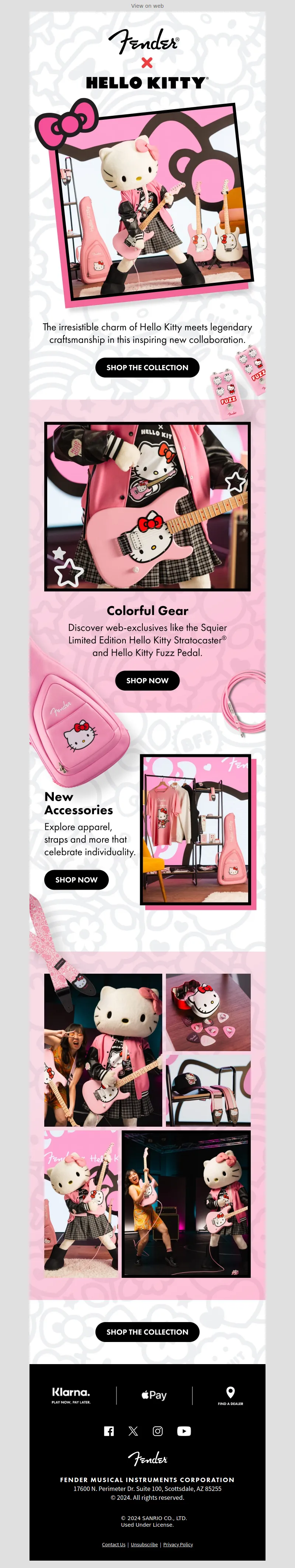 Email Screenshot