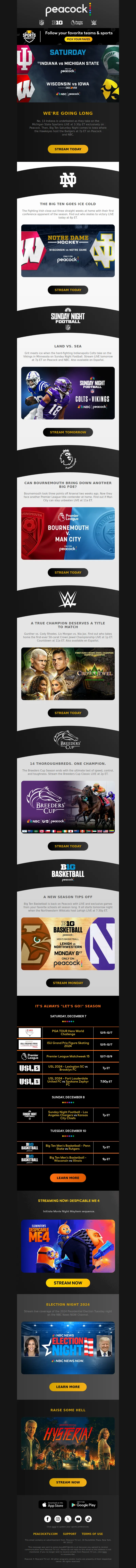 Email Screenshot