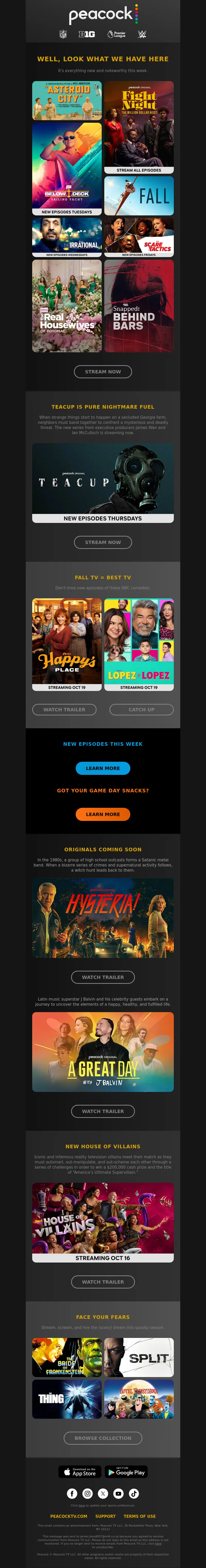 Email Screenshot