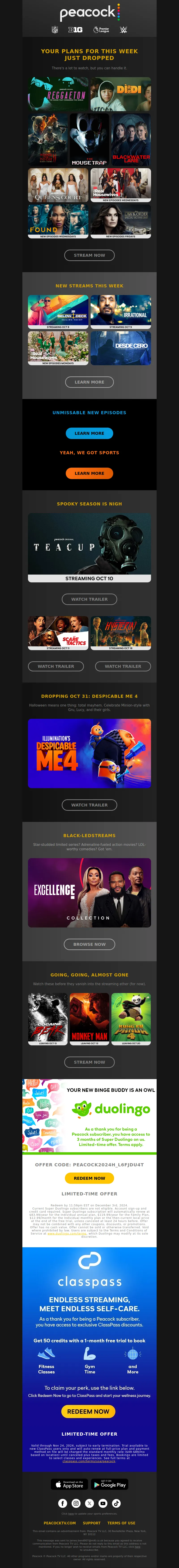 Email Screenshot