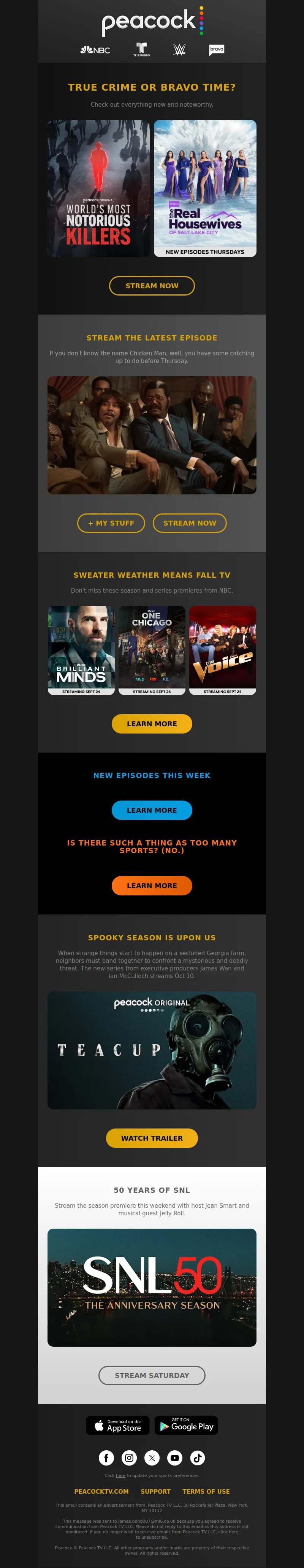 Email Screenshot