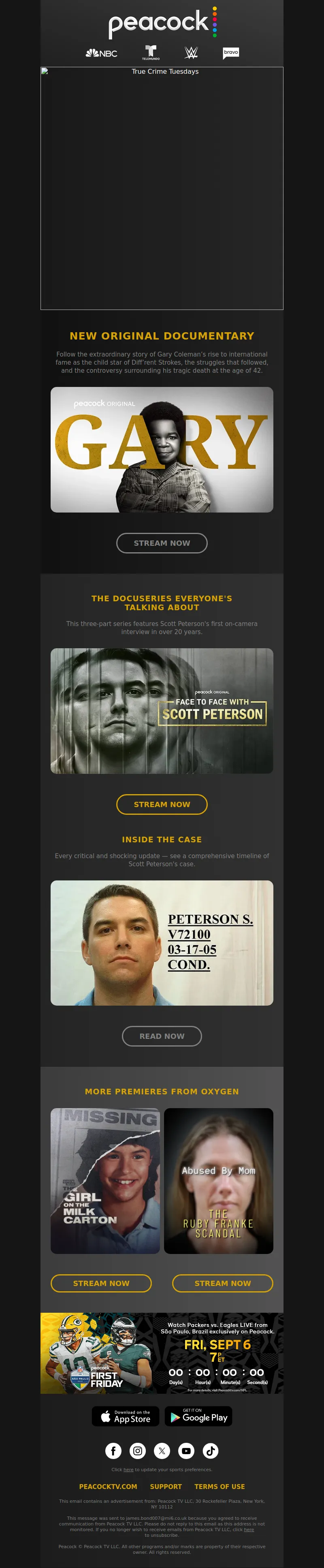Email Screenshot