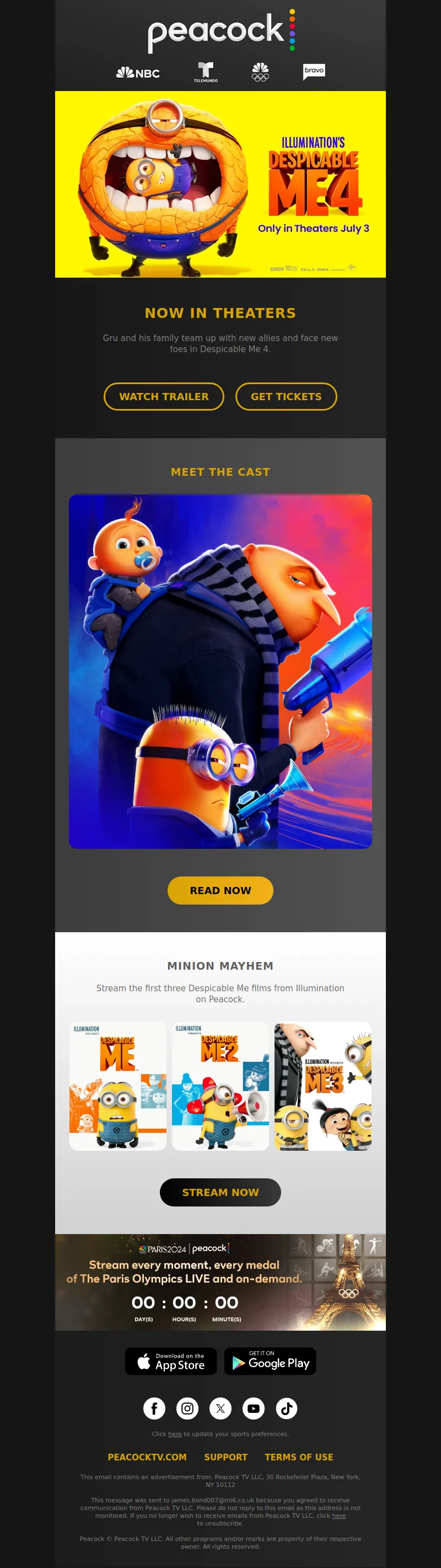 Email Screenshot