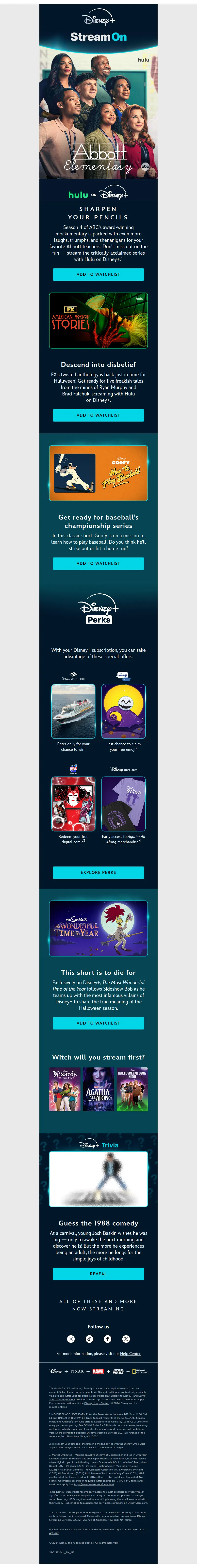 Email Screenshot