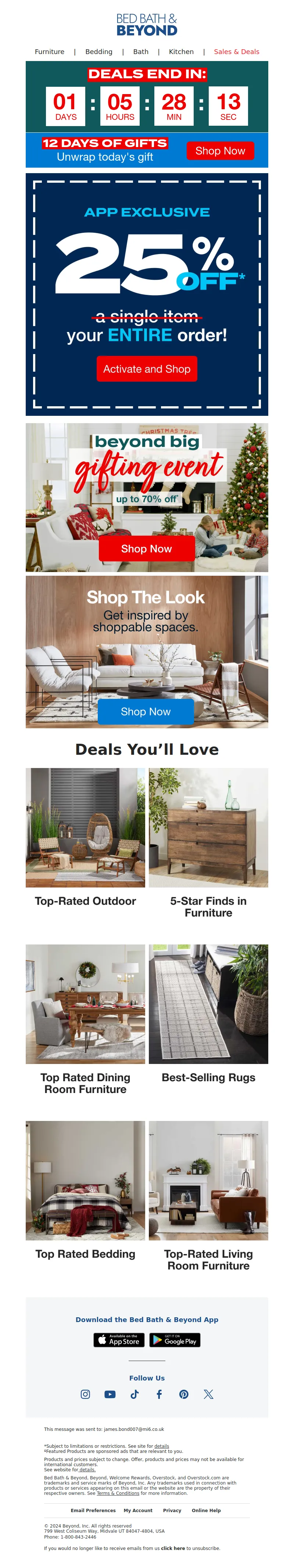 Email Screenshot