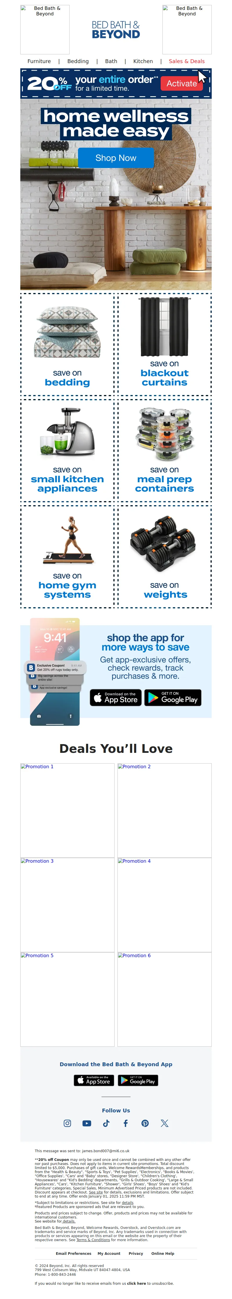 Email Screenshot