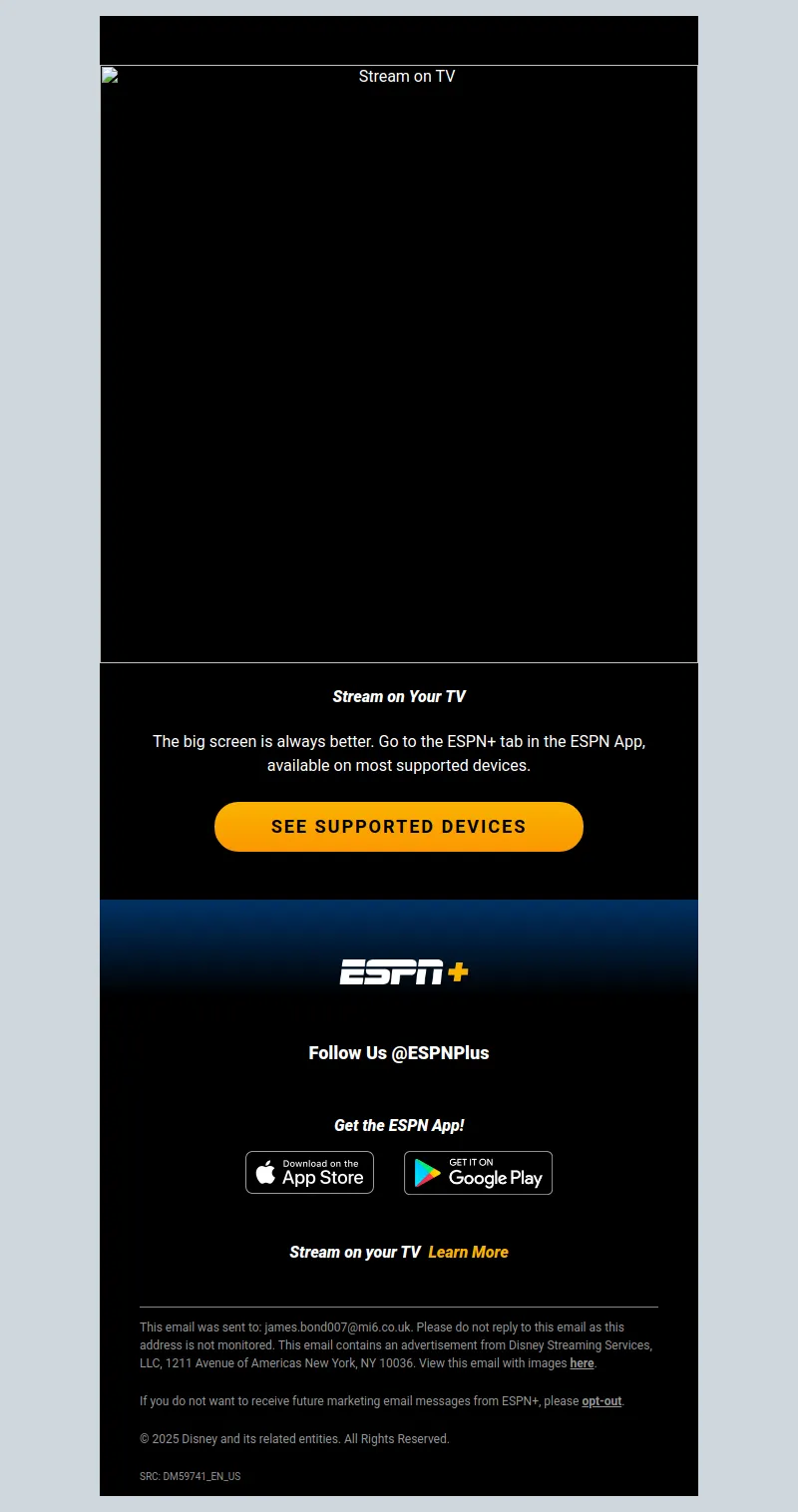 Email Screenshot