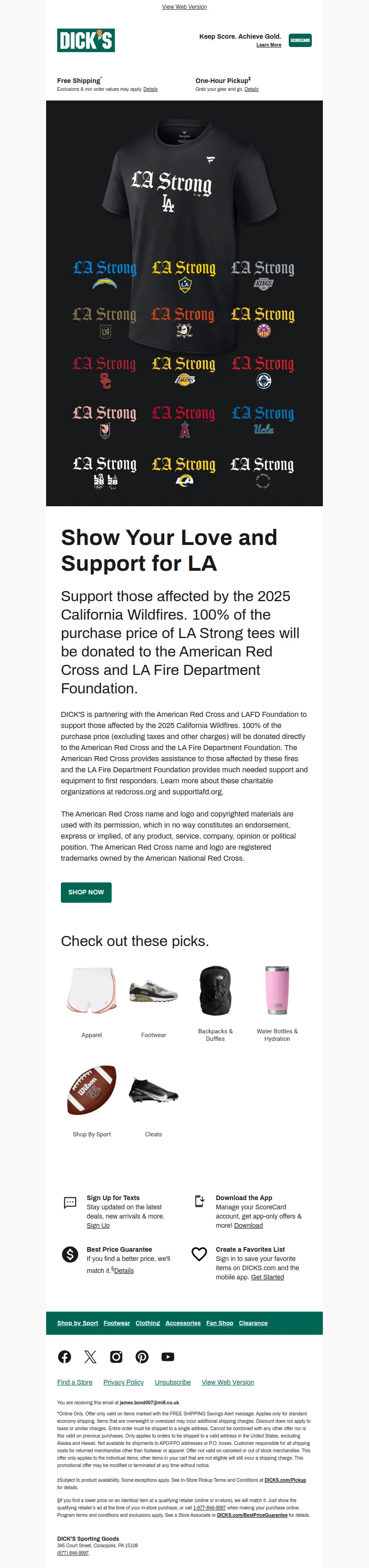 Email Screenshot