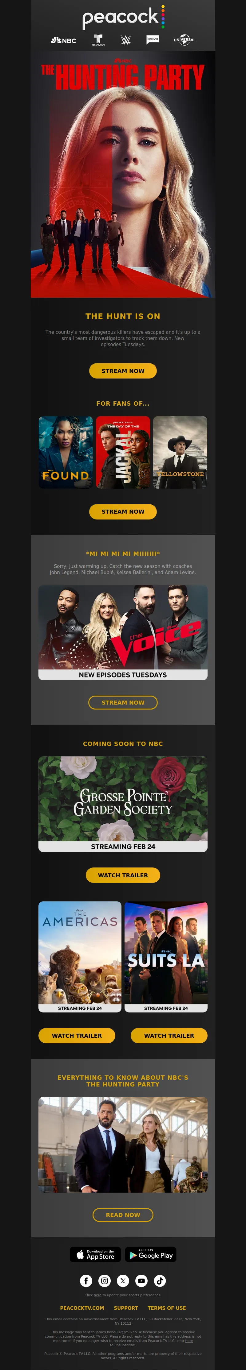 Email Screenshot