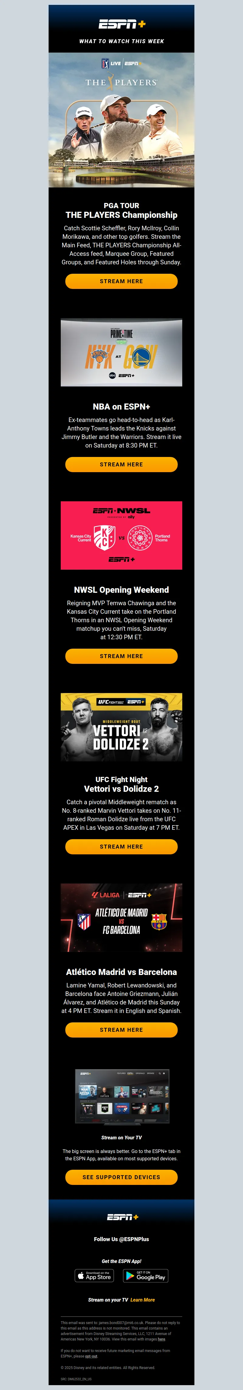 Email Screenshot