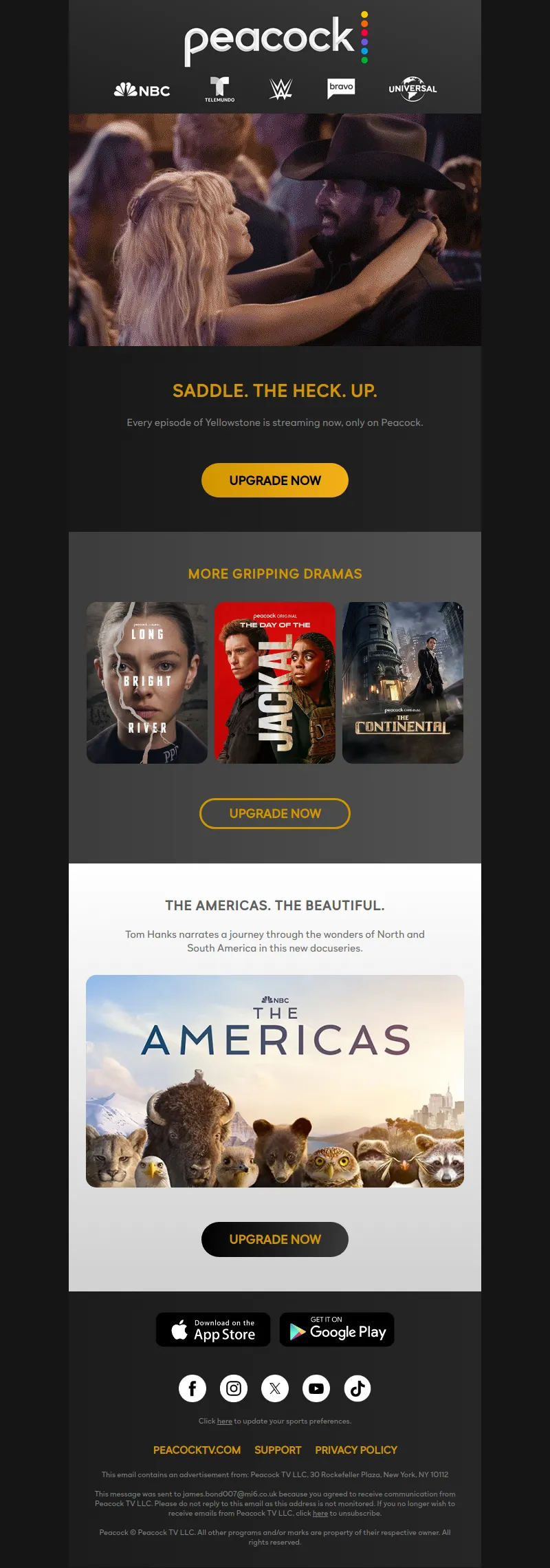 Email Screenshot