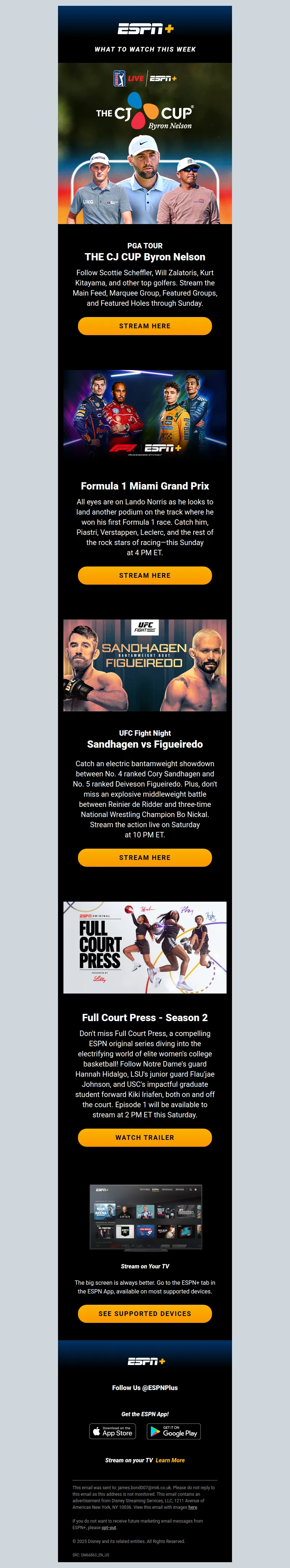Email Screenshot
