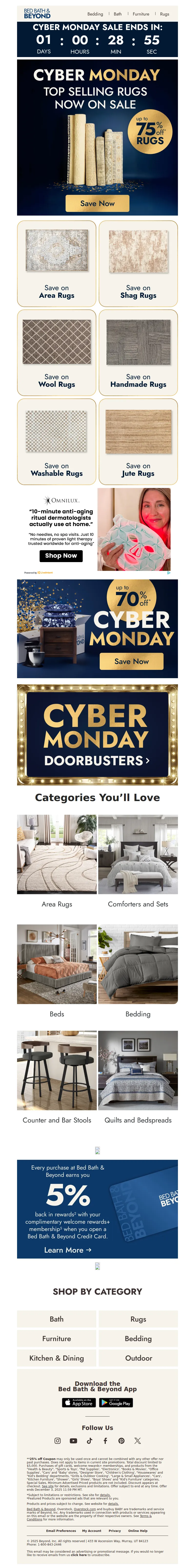 Email screenshot from Bed Bath & Beyond Cyber Monday - Up to 75% off rugs in every style 🧶