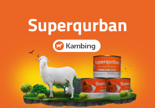 Kambing Kornet Kambing Kornet