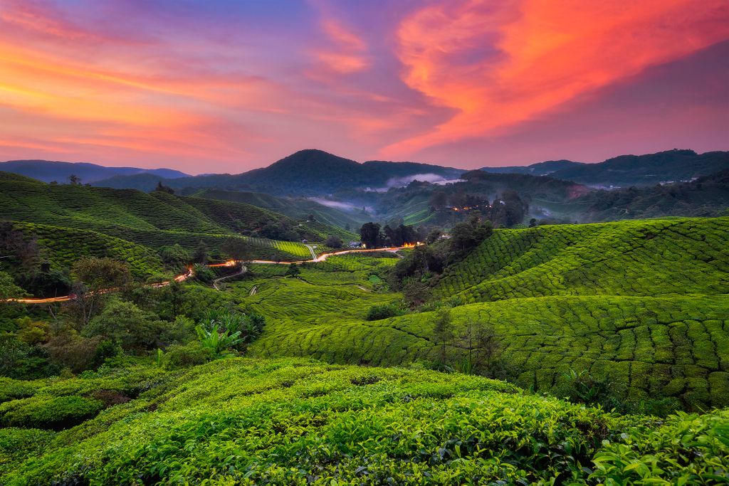 Kuala Lipis Scenery Train Rides