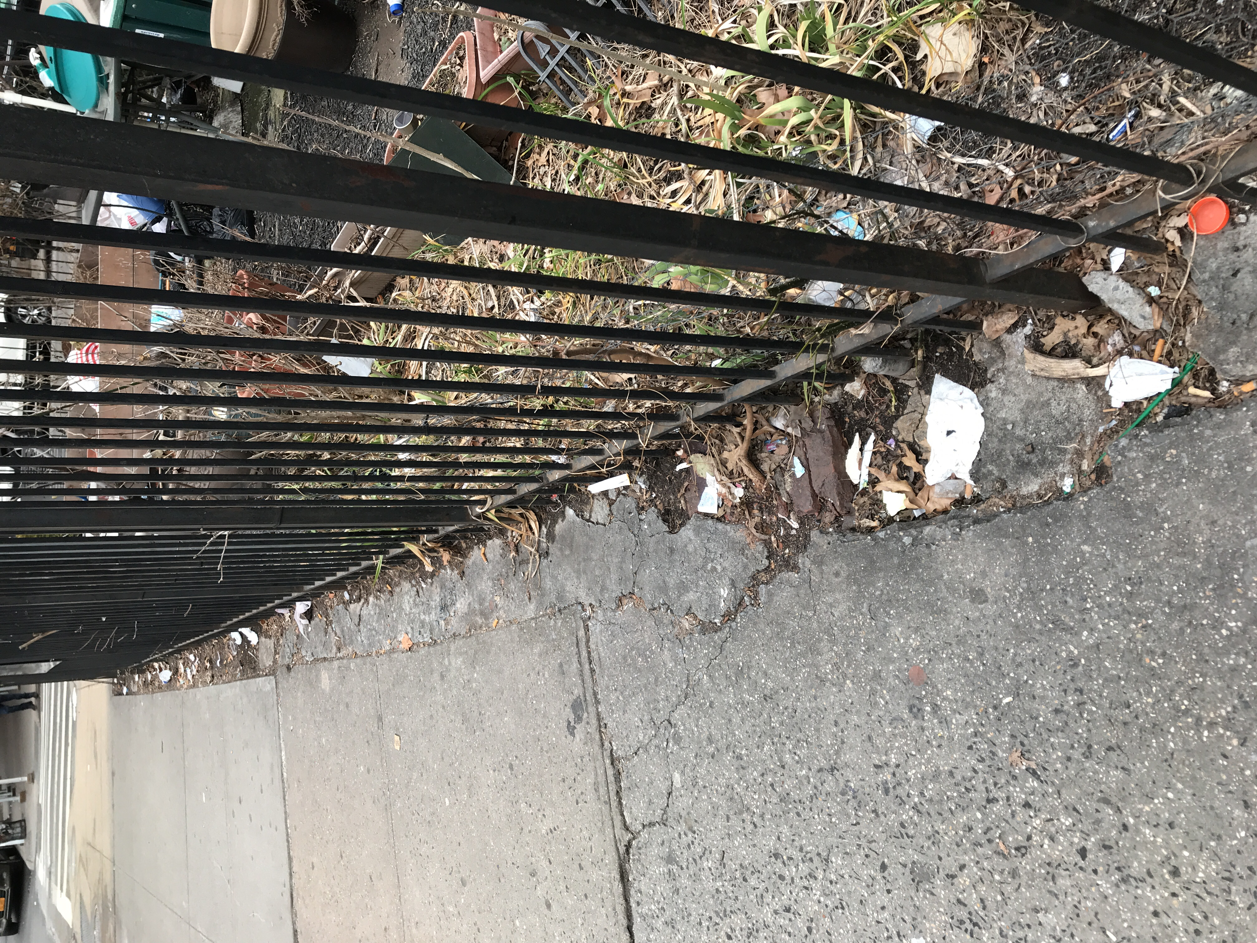 Trash near 1890 Lexington Avenue, New York City