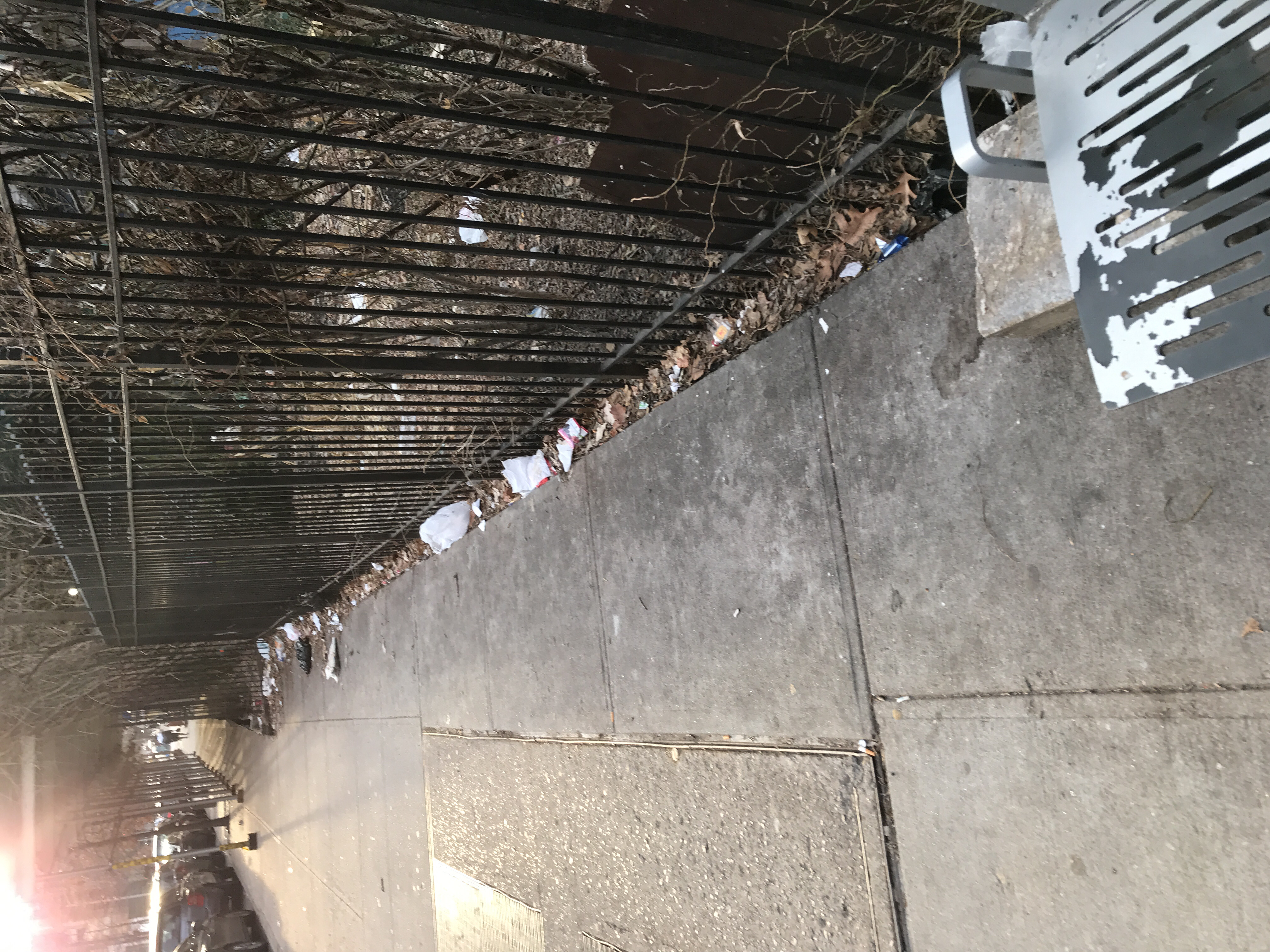 Trash near 1901 Lexington Avenue, New York City