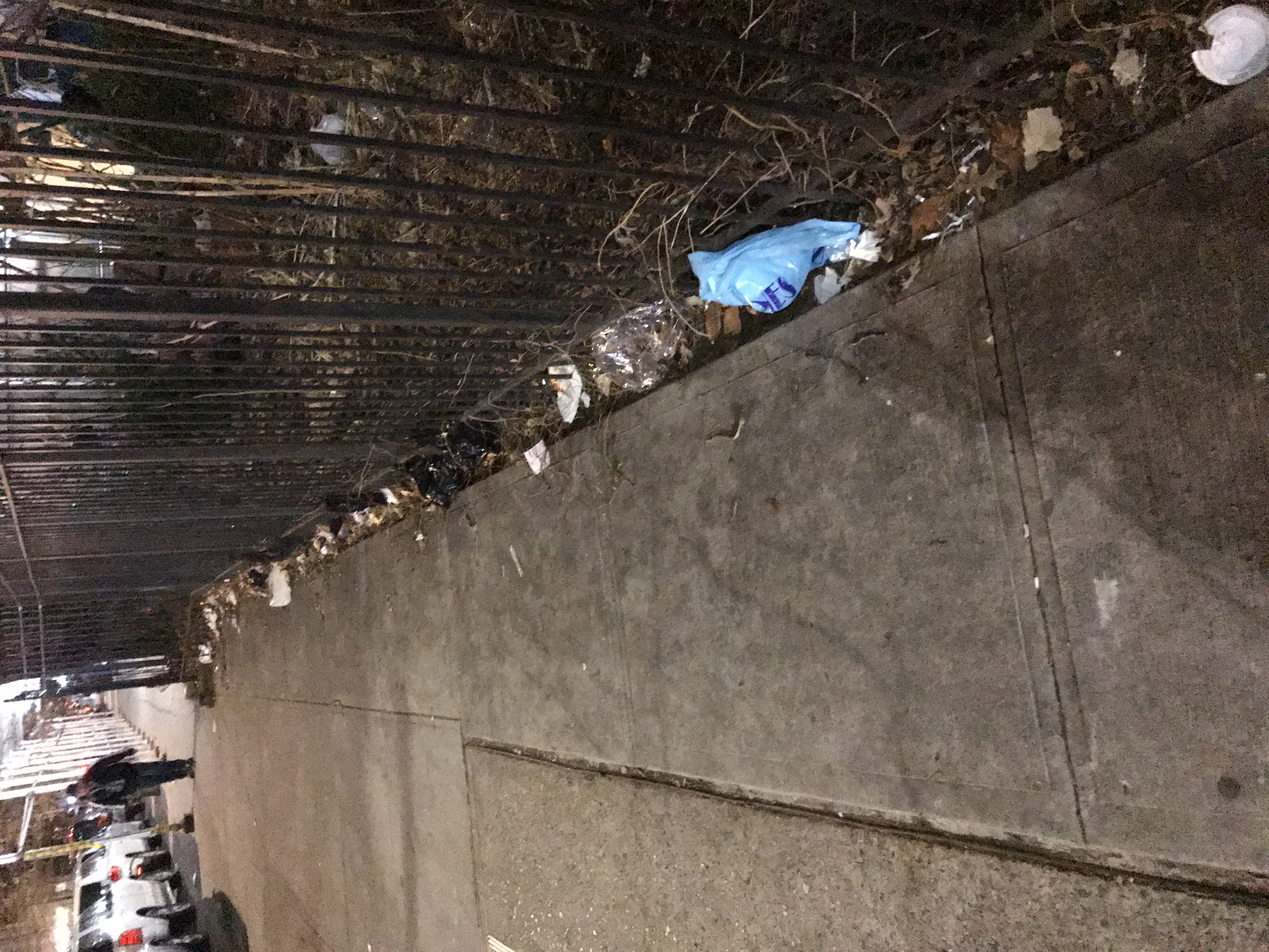 Trash near 147 East 118th Street, New York City2