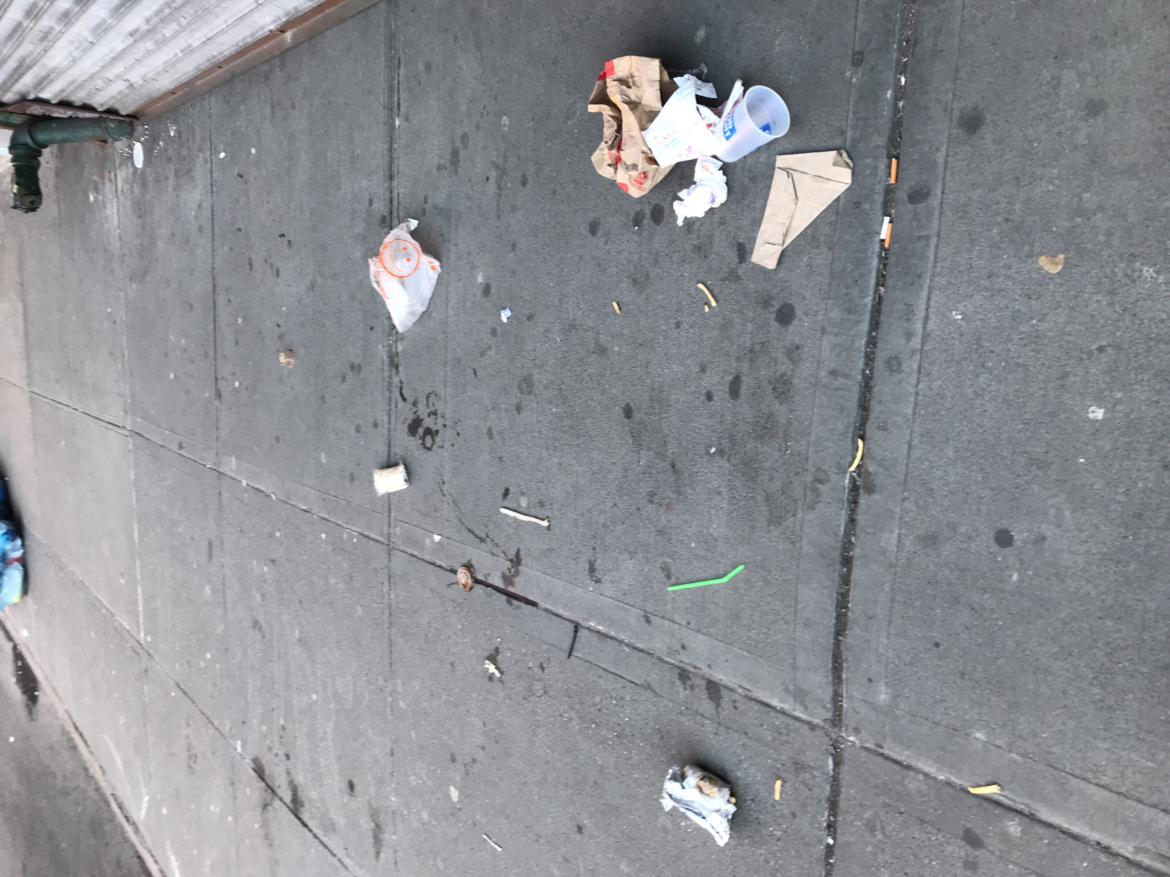 Trash near 2170 3rd Avenue, New York City