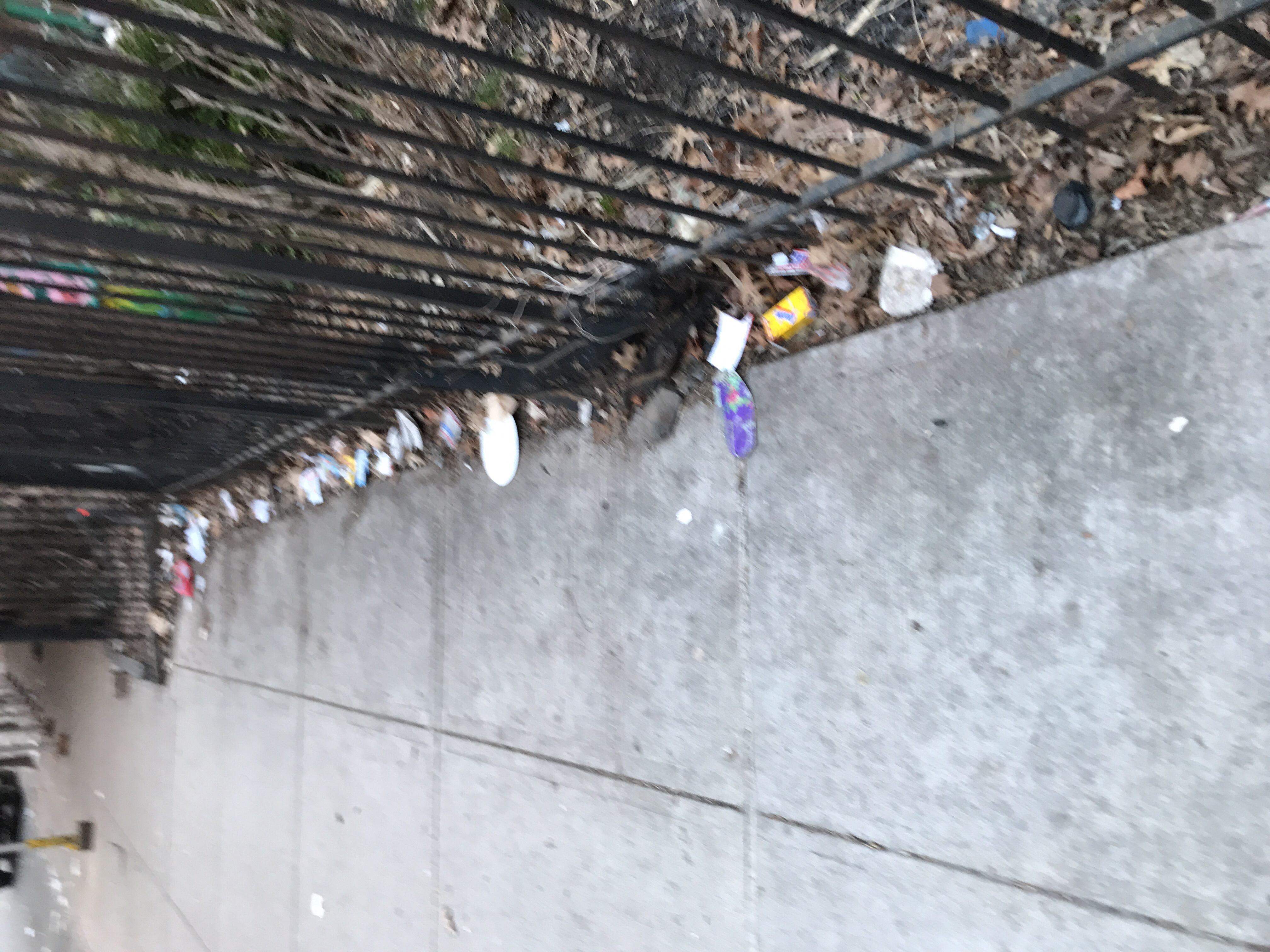 Trash near El Gallo Social Club Inc., East 118th Street, East Harlem, Manhattan, Manhattan Community Board 11, New York County, New York City, New York, 10035, USA