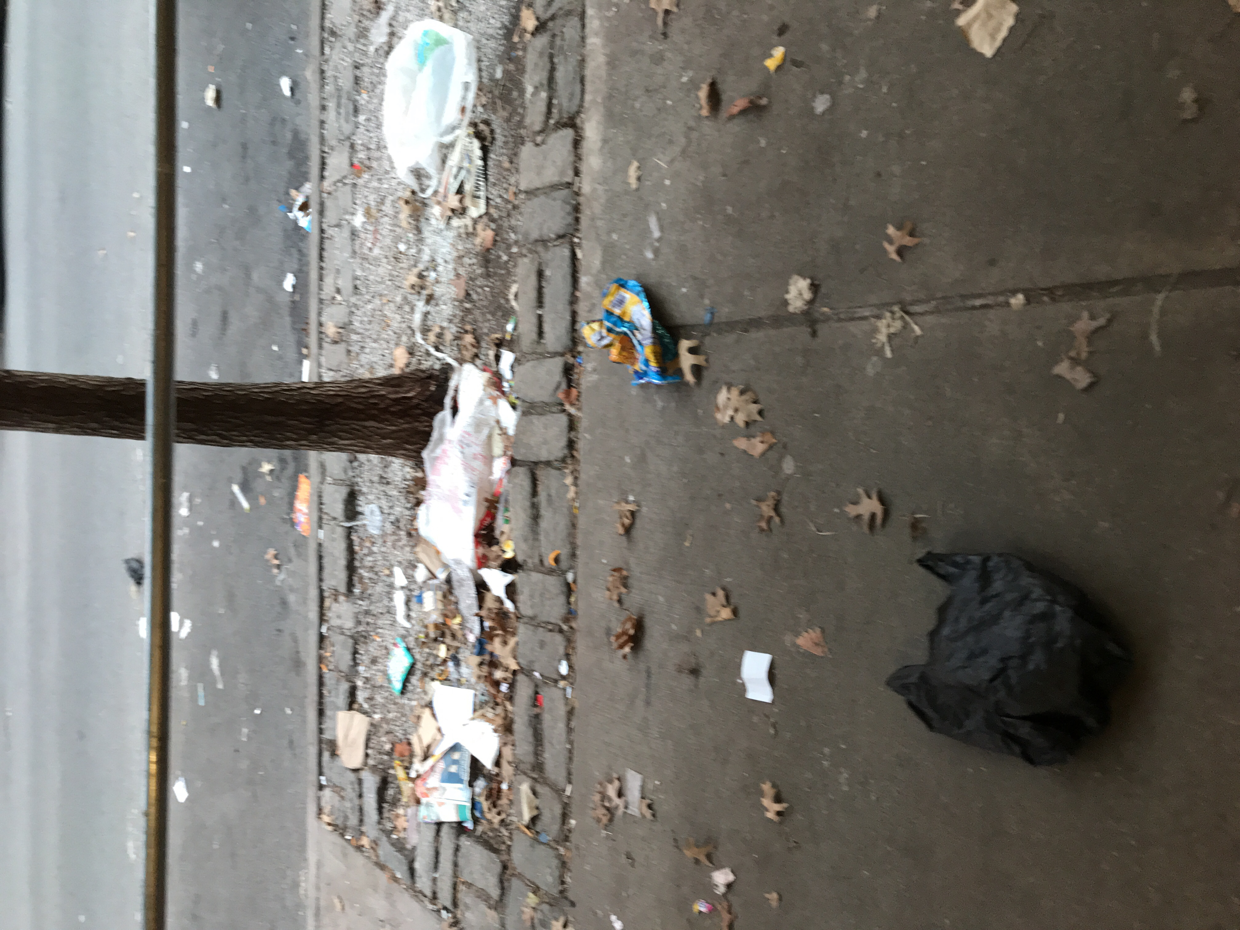 Trash near 149 East 118th Street, New York City