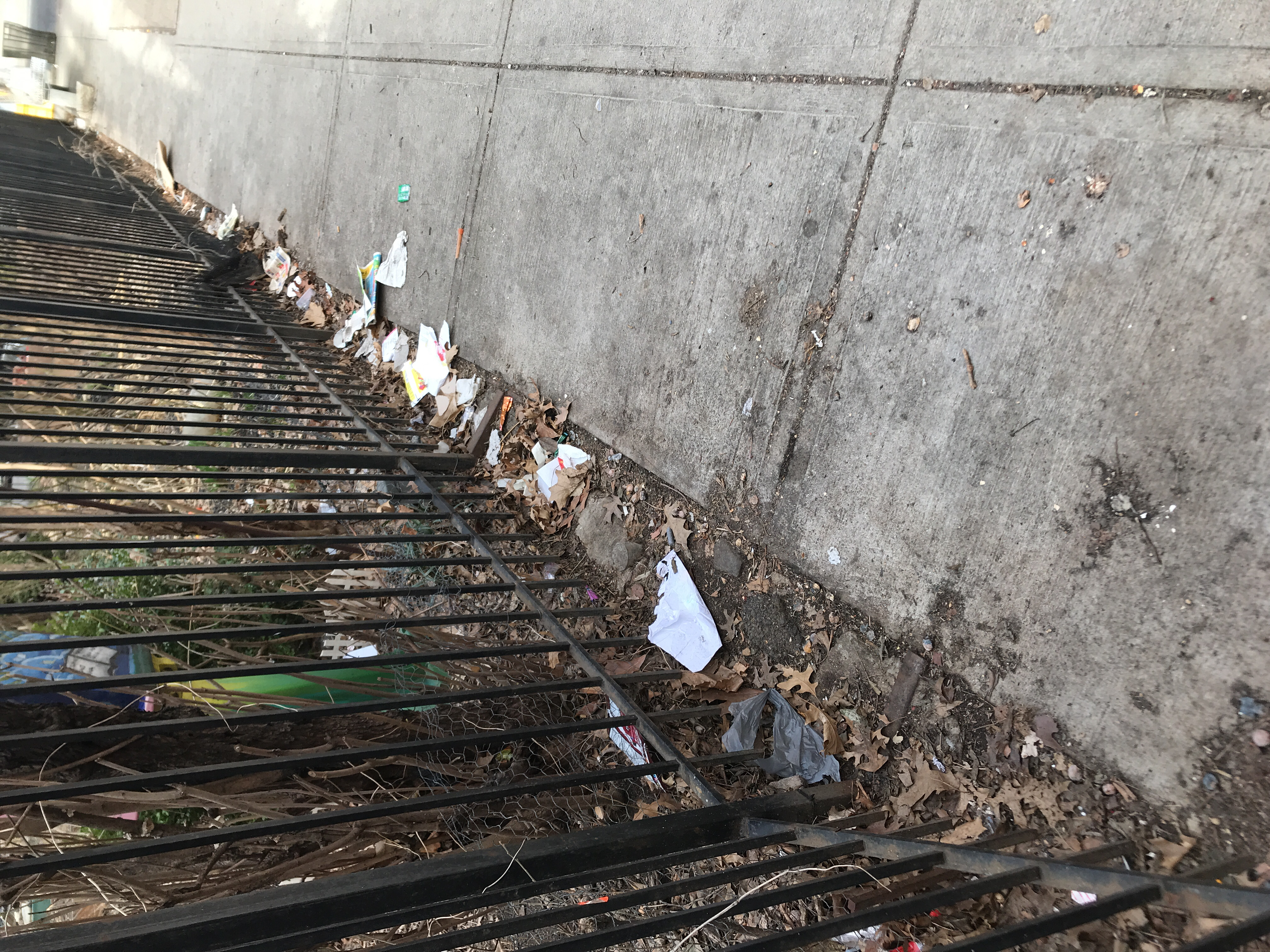 Trash near El Gallo Social Club Inc., East 118th Street, East Harlem, Manhattan, Manhattan Community Board 11, New York County, New York City, New York, 10035, USA