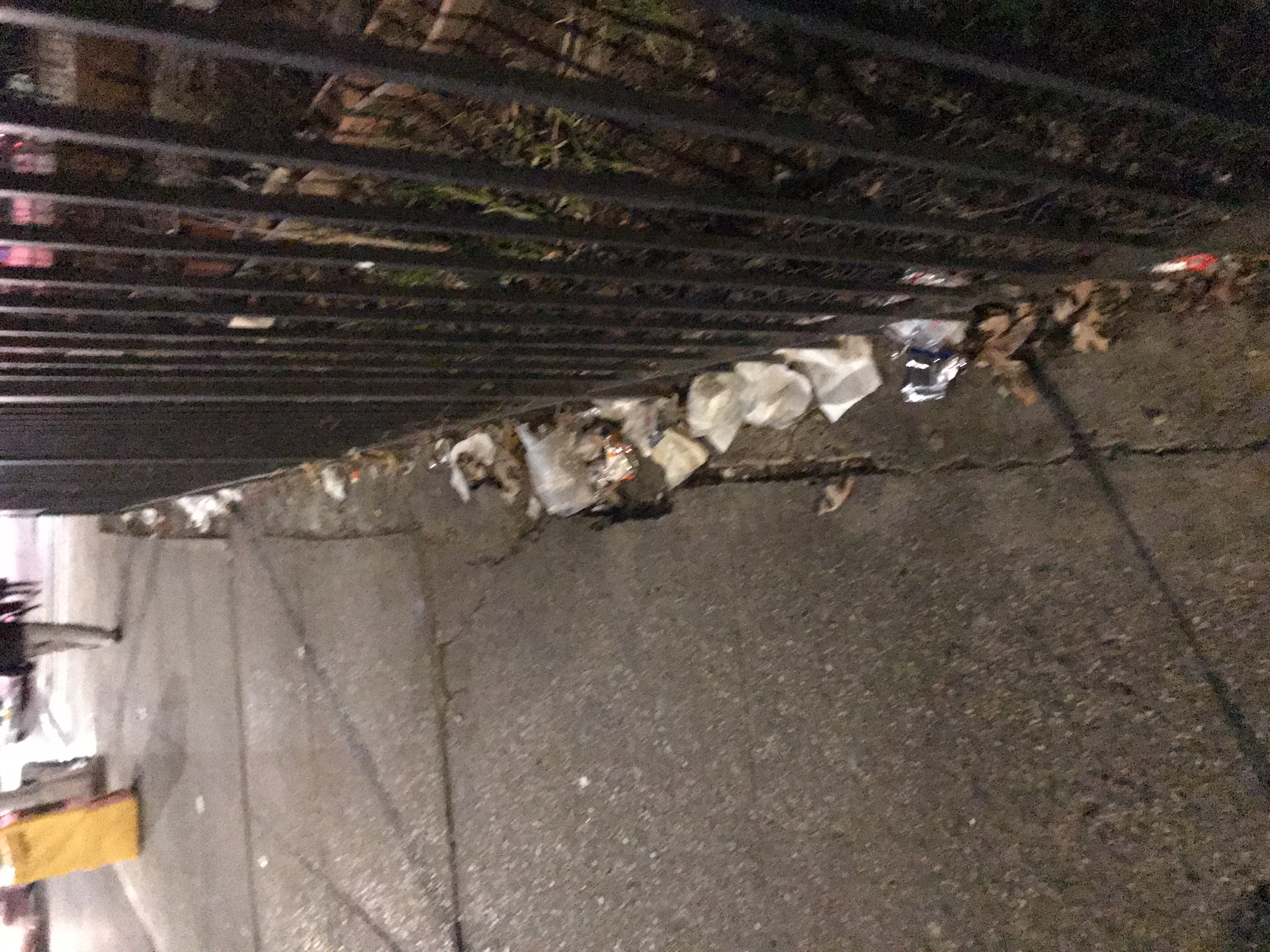 Trash near 1890 Lexington Avenue, New York City