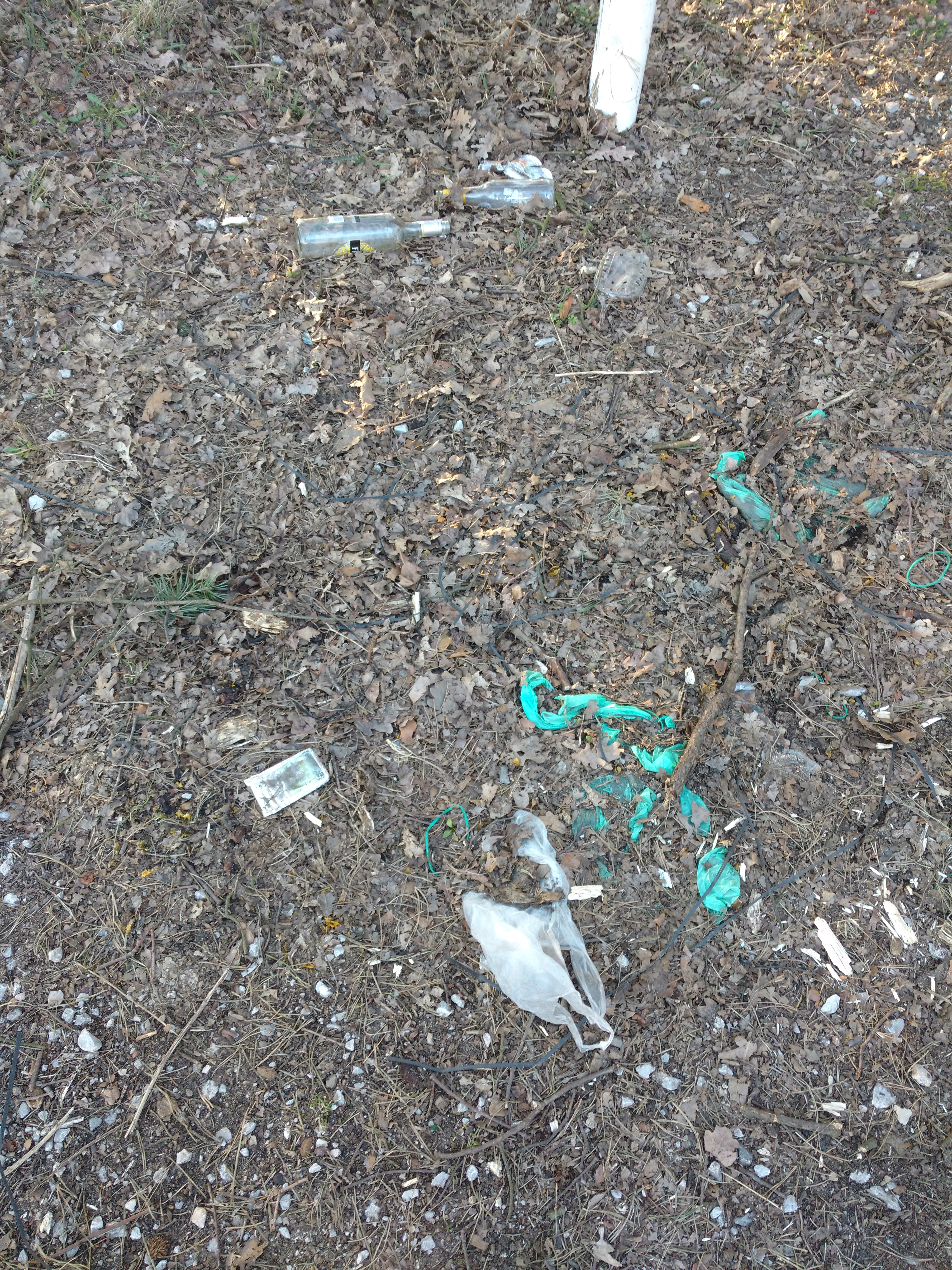 Trash near 38 Długa, Warsaw