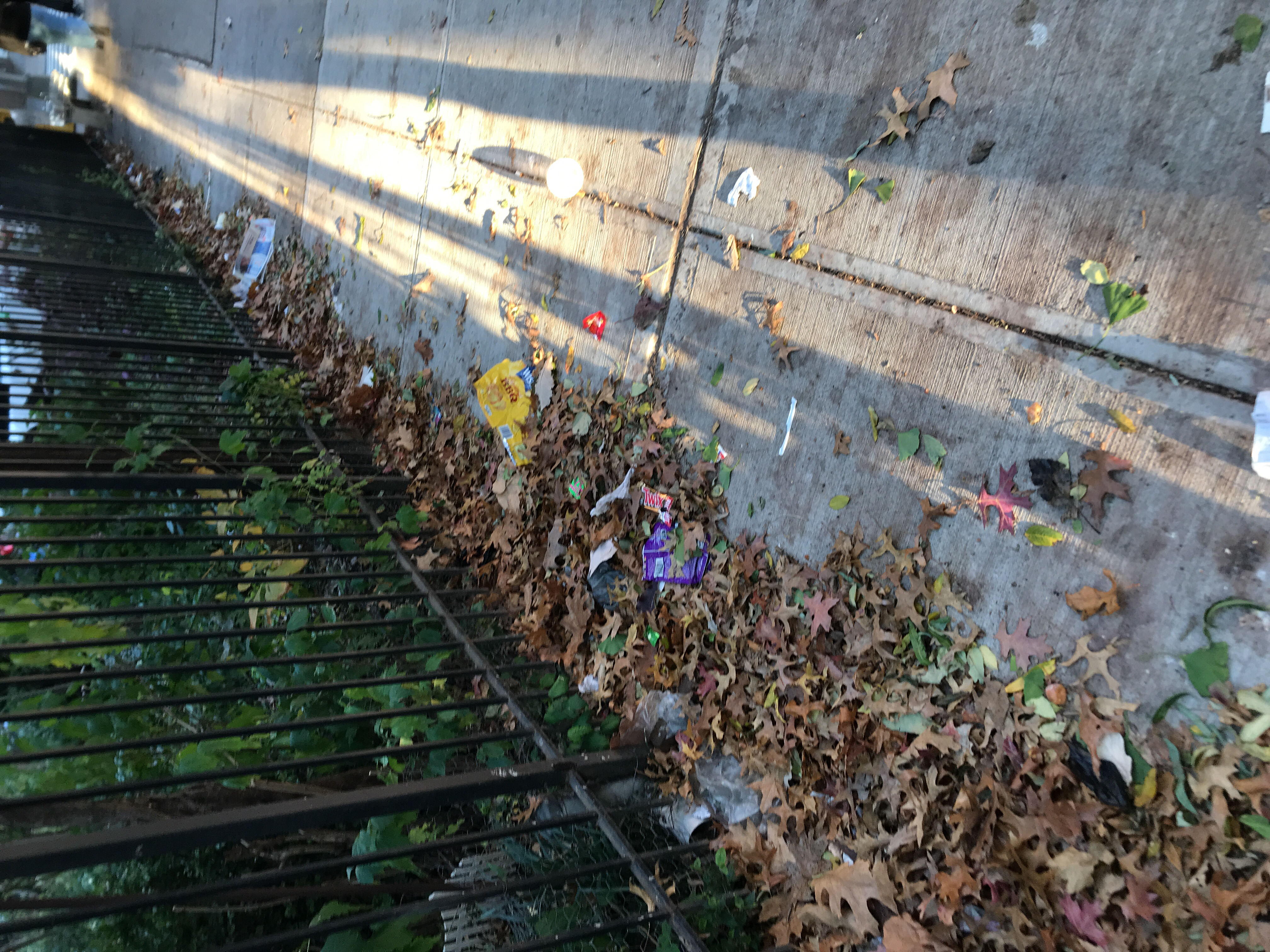 Trash near El Gallo Social Club Inc., East 118th Street, East Harlem, Manhattan Community Board 11, Manhattan, New York County, New York, 10035, United States of America