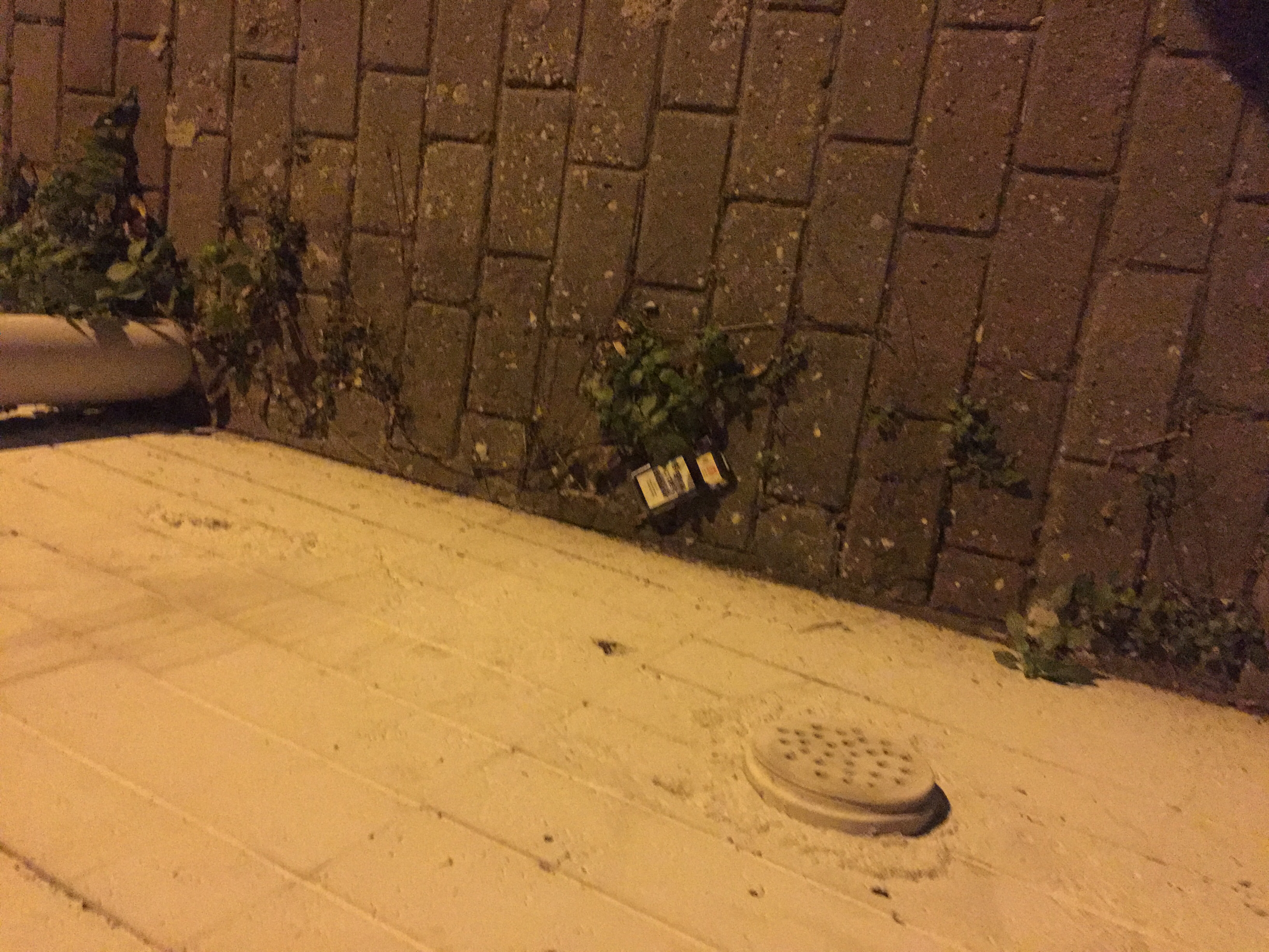 Trash near Çelebi Mehmet Lisesi, İpekçilik Caddesi, Karaağaç Mahallesi, Yıldırım, Bursa, Marmara Region, 16010, Turkey-c0np