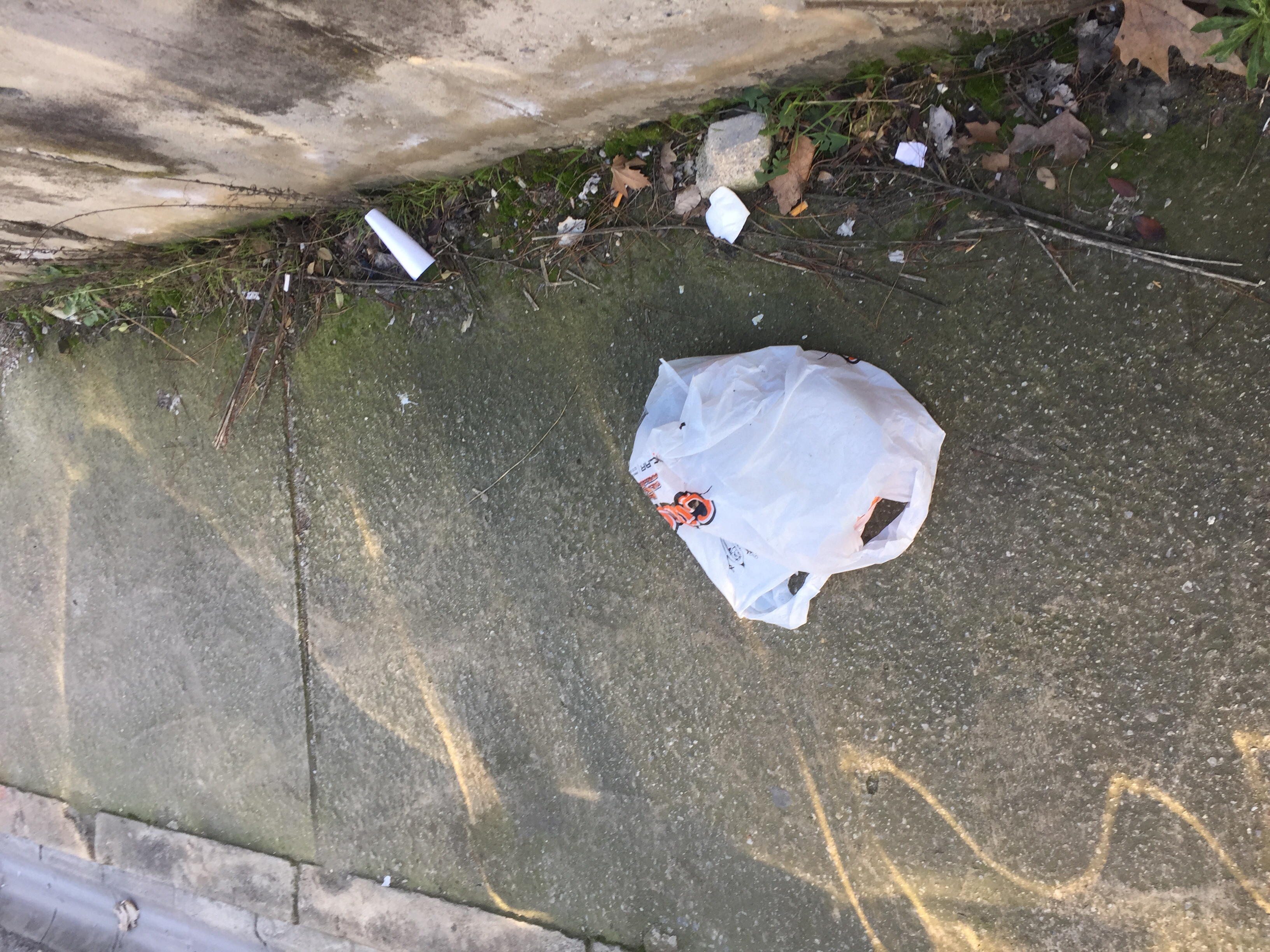 Trash near TOFAŞ Türk Otomobil Fabrikası, İstanbul Caddesi, Panayır, Panayır Mahallesi, Osmangazi, Bursa, Marmara Region, 16370, Turkey-iku4