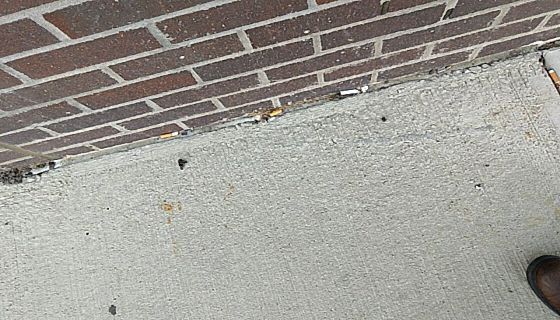 Trash near Vernon Boulevard, Astoria, Queens, Queens County, New York, 11102, United States of America