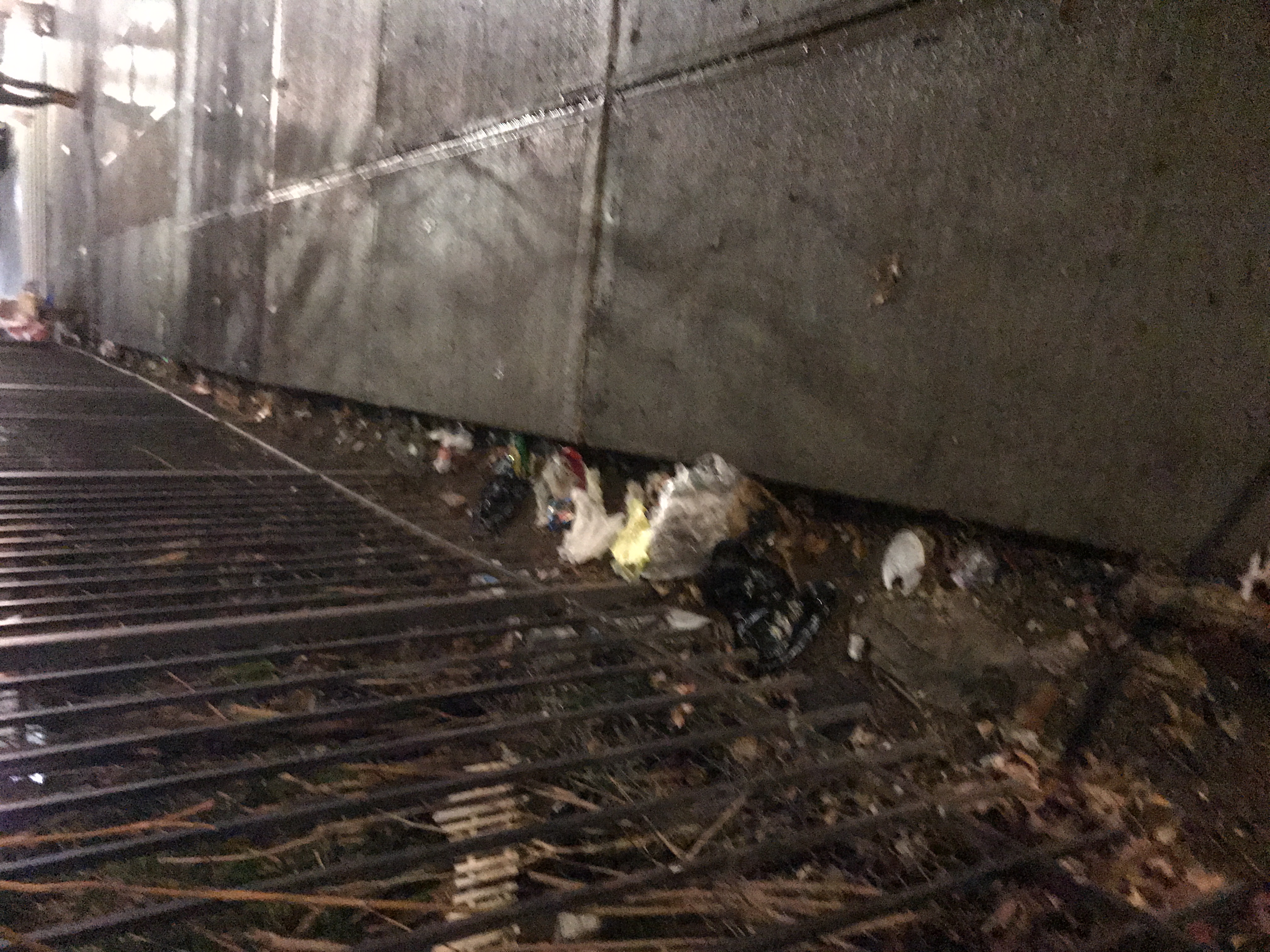 Trash near El Gallo Social Club Inc., East 118th Street, East Harlem, Manhattan Community Board 11, Manhattan, New York County, New York, 10035, United States of America