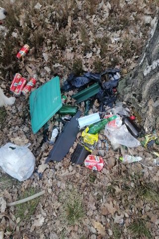 Trash near 52 Wspólna, Warsaw