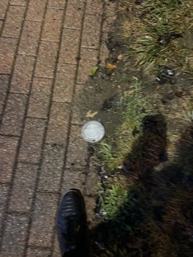 Trash near 176, 1st Avenue, Atlantic Highlands, Monmouth County, New Jersey, 07716, United States