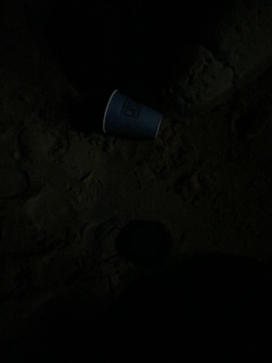 Trash near 3425, Ocean Boulevard, Corona del Mar, Newport Beach, Orange County, CAL Fire Southern Region, California, 92625, United States